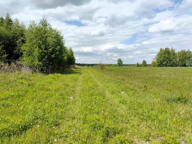 Działka budowlana Borkowice gm. Dłutów,