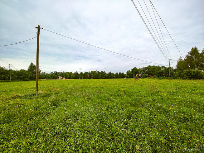 Działka Budowlana 2,5 ha w miejscowości Stróże
