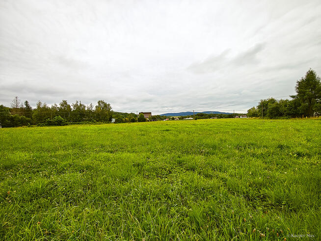 Działka Budowlana 2,5 ha w miejscowości Stróże