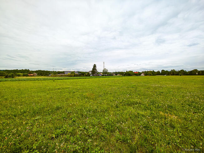 Działka Budowlana 2,5 ha w miejscowości Stróże