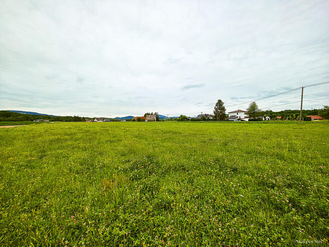 Działka Budowlana 2,5 ha w miejscowości Stróże