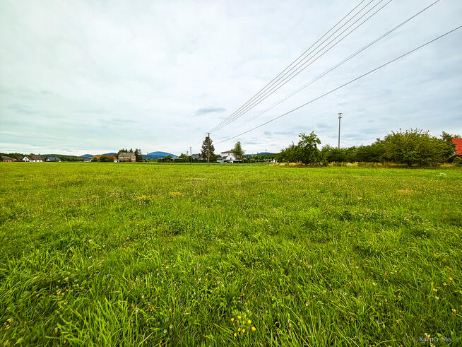Działka Budowlana 2,5 ha w miejscowości Stróże