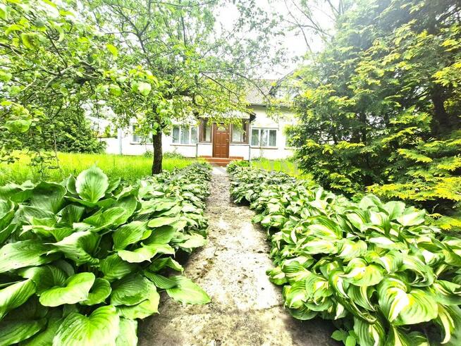 Dom wolnostojący z zabudowaniami gospodarczymi