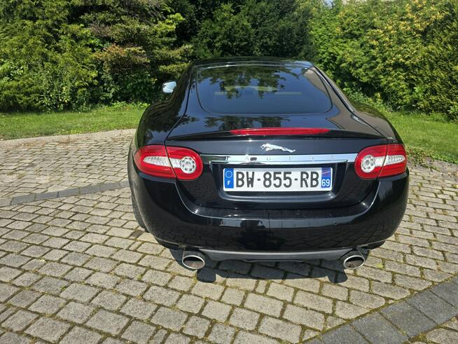 Jaguar XK
