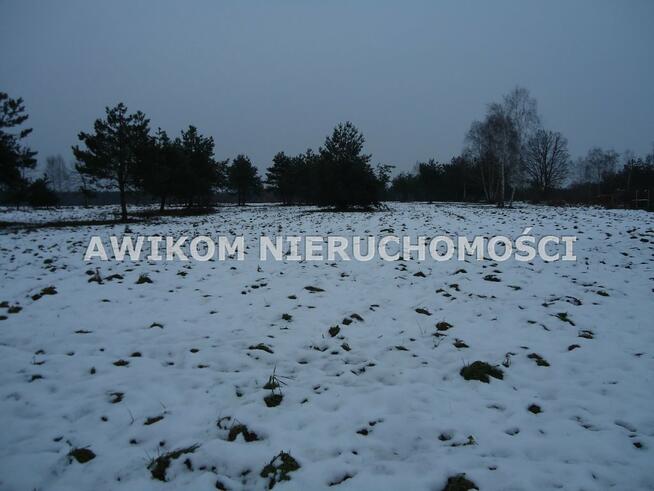 Działka budowlana Lasek gm. Żabia Wola