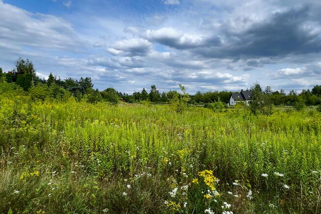 ✅Sprawdź >>> Działka inwestycyjna - 7212m2✅