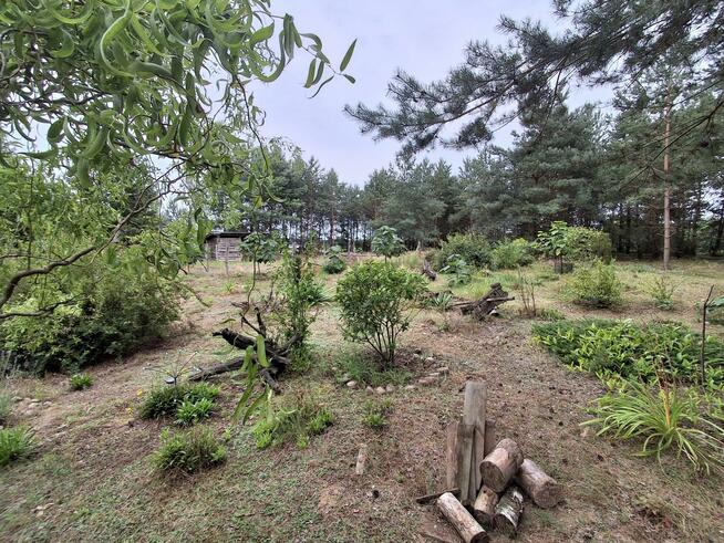 Działka budowlana Jezierzyce Kościelne gm. Włoszakowice, Powstańców Wielkopolskich