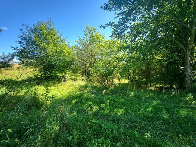 DZIAŁKA BLISKO JEZIORA!