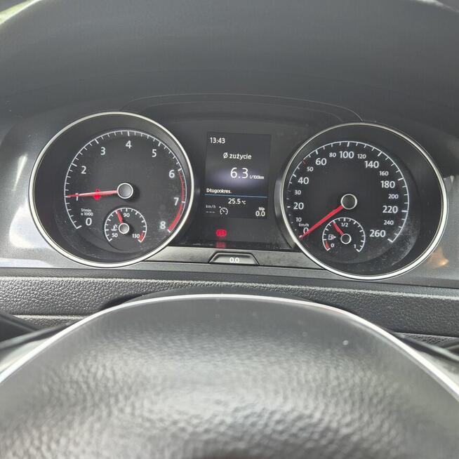 Volkswagen Golf VII 1.5 TSI 2019 r