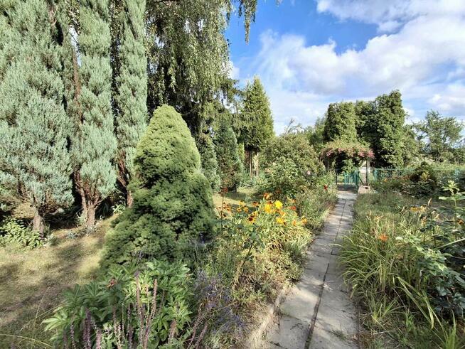 sprzedam ogródek działkowy ROD