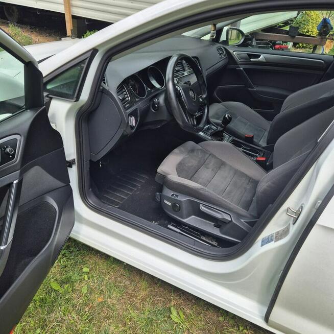 Volkswagen Golf VII 1.5 TSI 2019 r