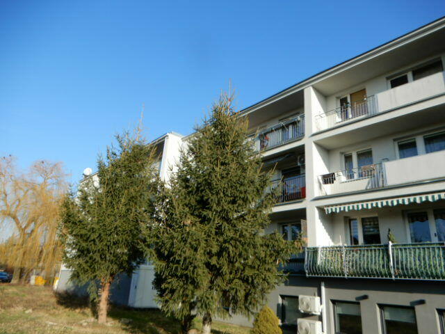 Udział w prawie własności lokalu mieszkalnego w Mierzynie