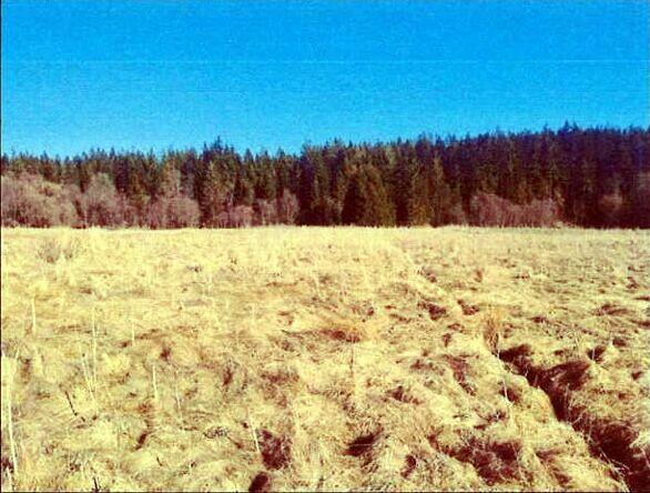 Nieruchomość niezabudowana - Kiczory