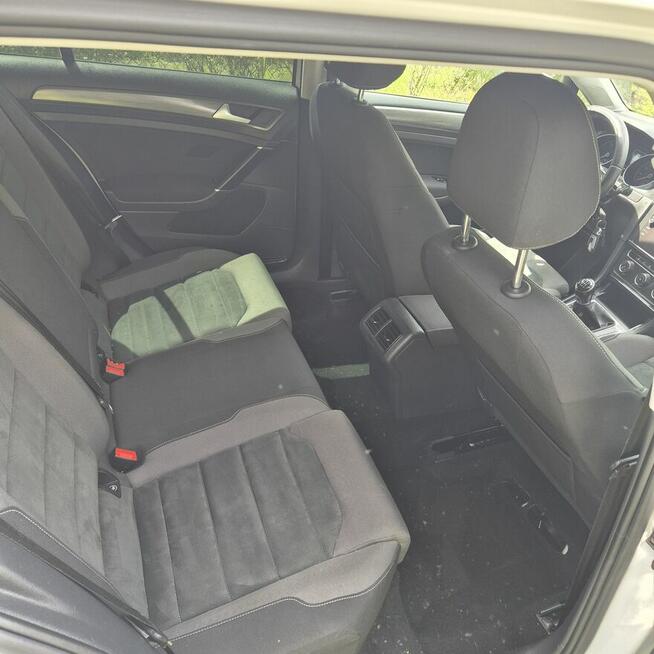 Volkswagen Golf VII 1.5 TSI 2019 r