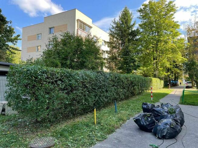 Przycinanie i formowanie żywopłotu (szybko i tamio )