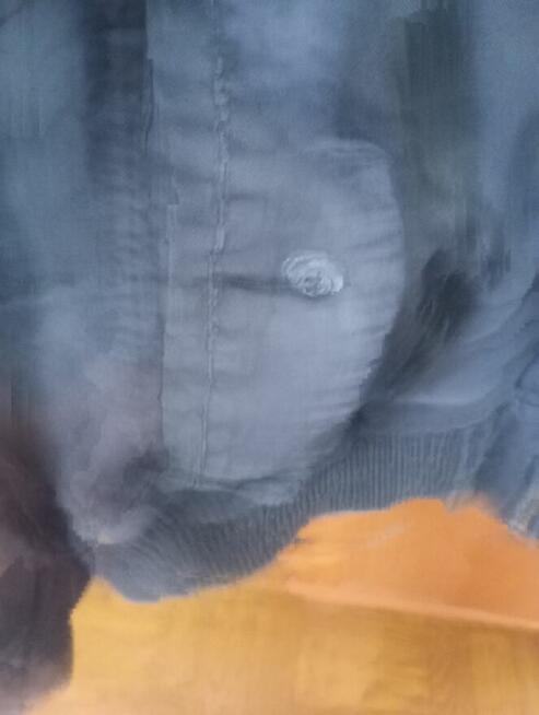 Kurtka męska Mustang