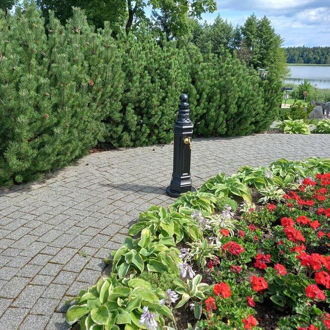 Zdrój wolnostojący do wody żeliwny punkt czerpania wody