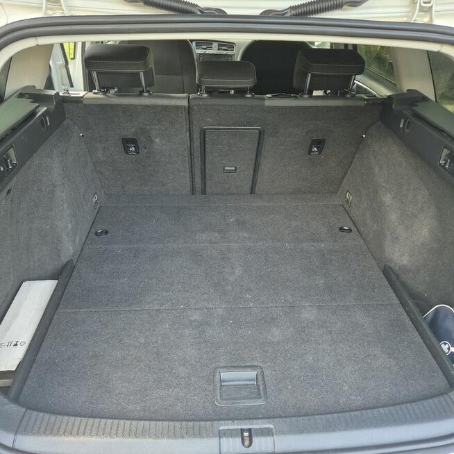 Volkswagen Golf VII 1.5 TSI 2019 r