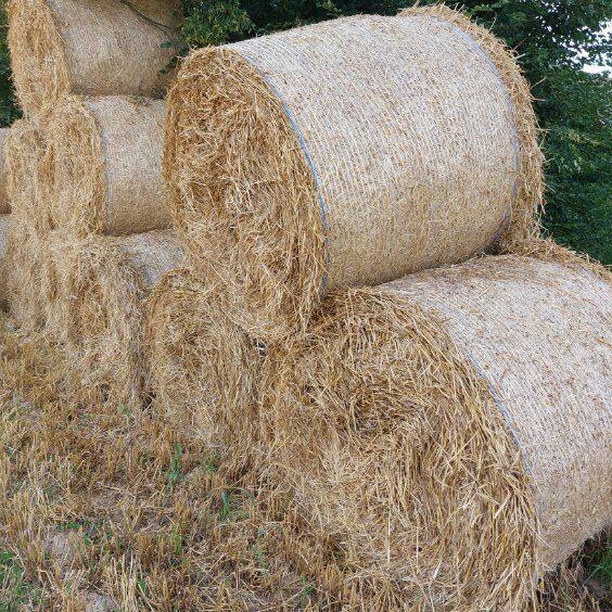 Słoma w rolkach