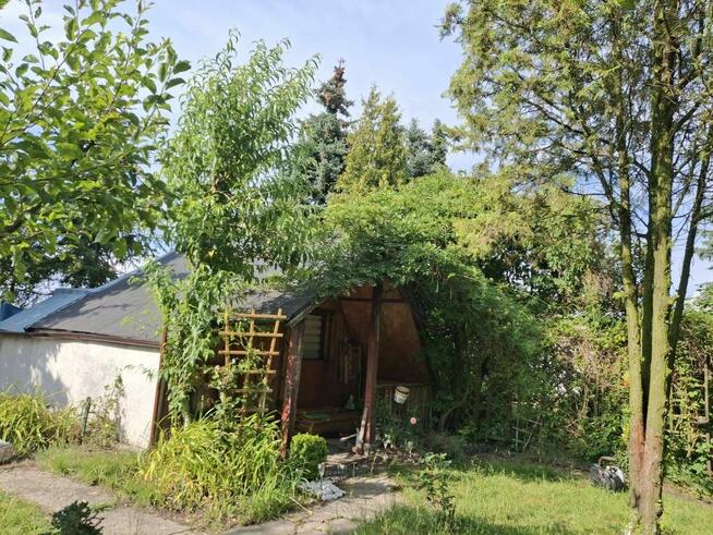 sprzedam ogródek działkowy ROD