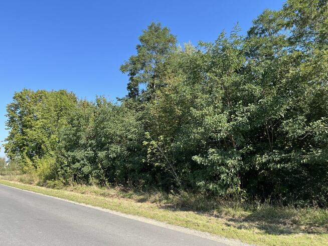 Działka rolna - Trawniki Kolonia, pow. świdnicki, lubelskie