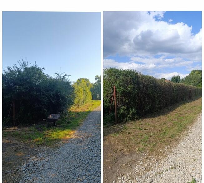 Usługi pielęgnacji ogrodów