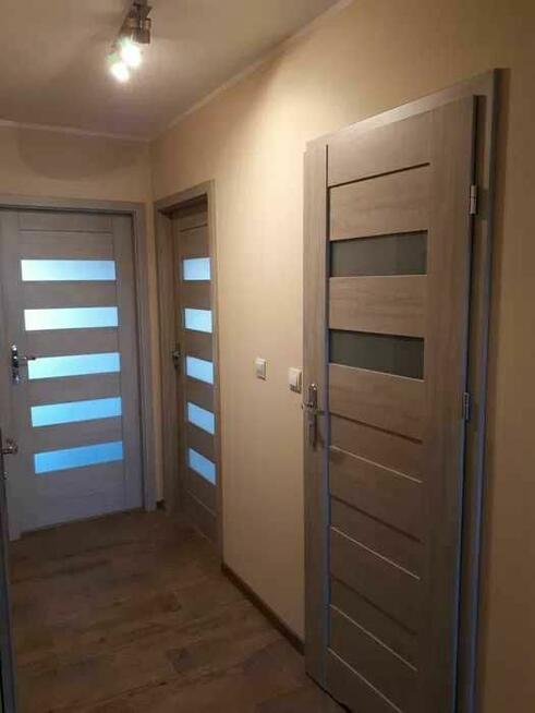 pokój Tarasy Warty Rataje najbliżej Politechniki