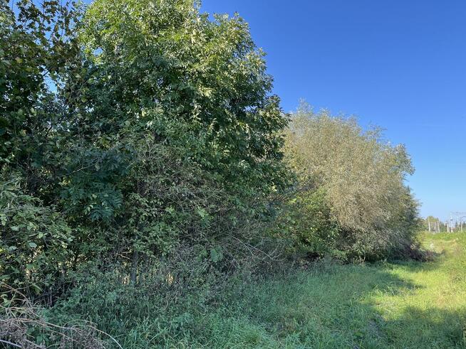 Działka rolna - Trawniki Kolonia, pow. świdnicki, lubelskie