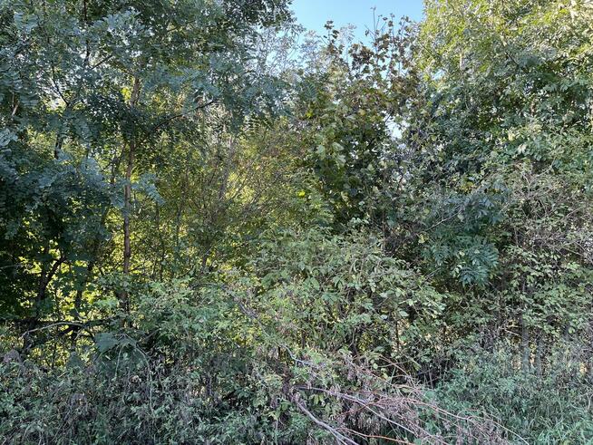 Działka rolna - Trawniki Kolonia, pow. świdnicki, lubelskie