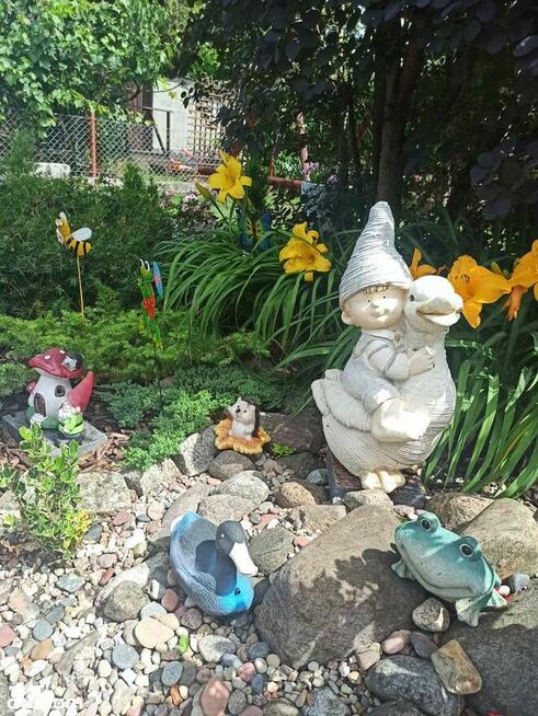 Na sprzedaż działka ROD z domkiem – gotowa do wypoczynku!