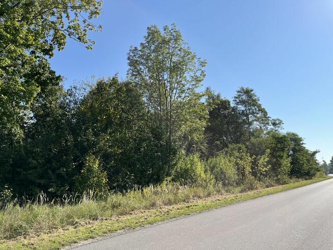 Działka rolna - Trawniki Kolonia, pow. świdnicki, lubelskie