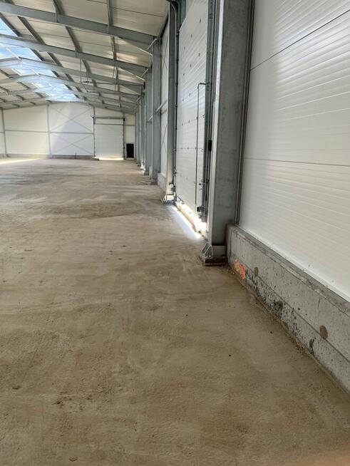 wynajmę halę z biurem razem 520m2 w dobrym miejscu