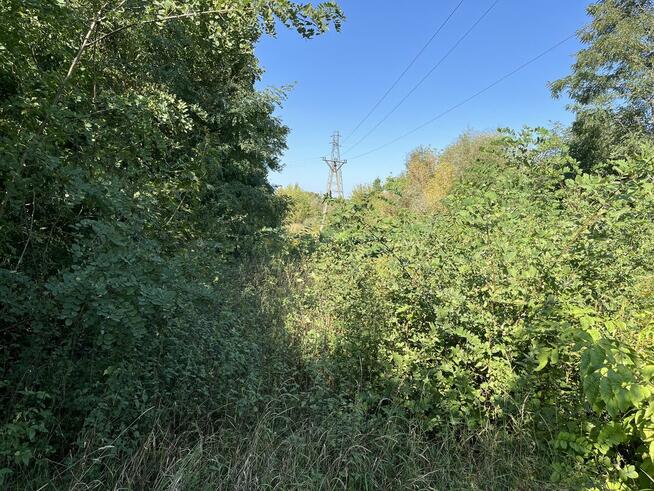 Działka rolna - Trawniki Kolonia, pow. świdnicki, lubelskie