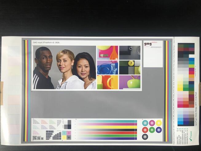 PrintFactory lic. SaaS 1rok 1Y licence Epson SC-S9100