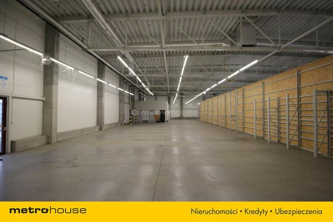 Od zaraz lokal handlowo-usługowy 540mkw