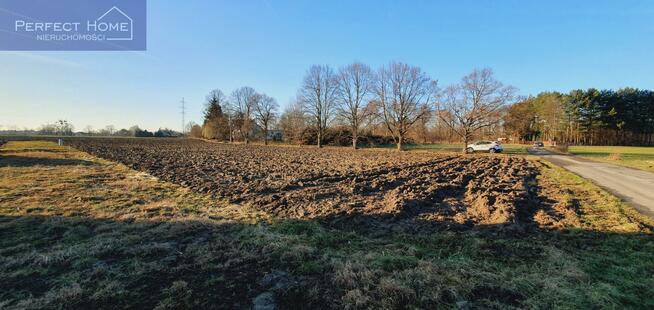 Działka budowlana Strumień, Leśna