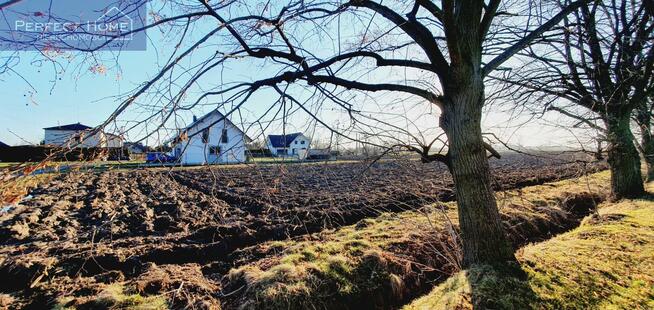 Działka budowlana Strumień, Leśna