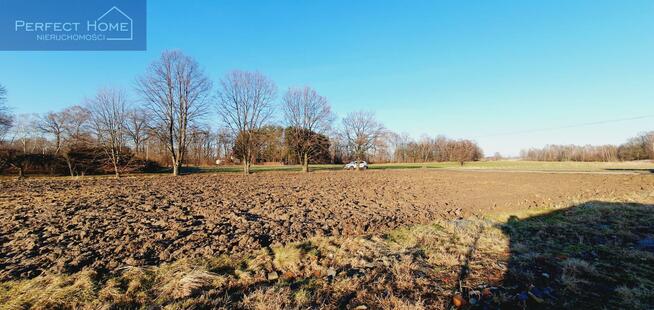 Działka budowlana Strumień, Leśna