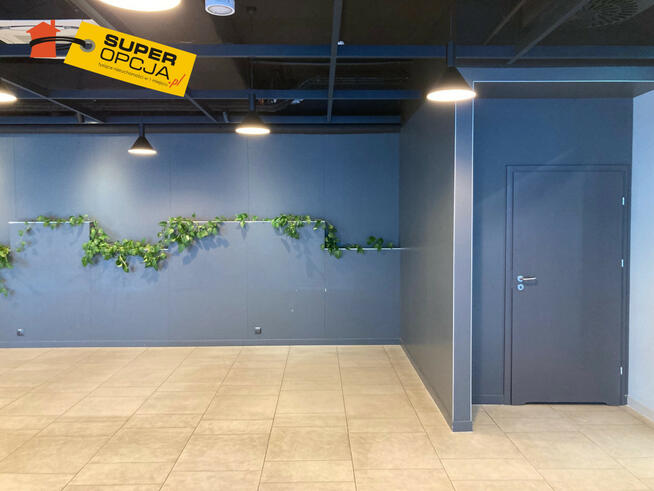 Lokal użytkowy Kraków gm. Kraków-Śródmieście Prądnik Czerwony,