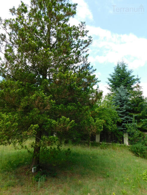 Działka budowlana Jachranka gm. Serock,