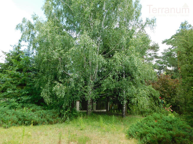 Działka budowlana Jachranka gm. Serock,