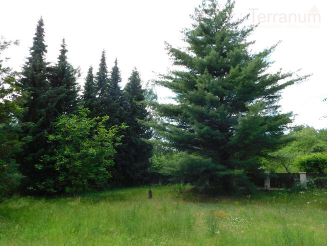 Działka budowlana Jachranka gm. Serock,