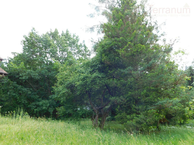 Działka budowlana Jachranka gm. Serock,