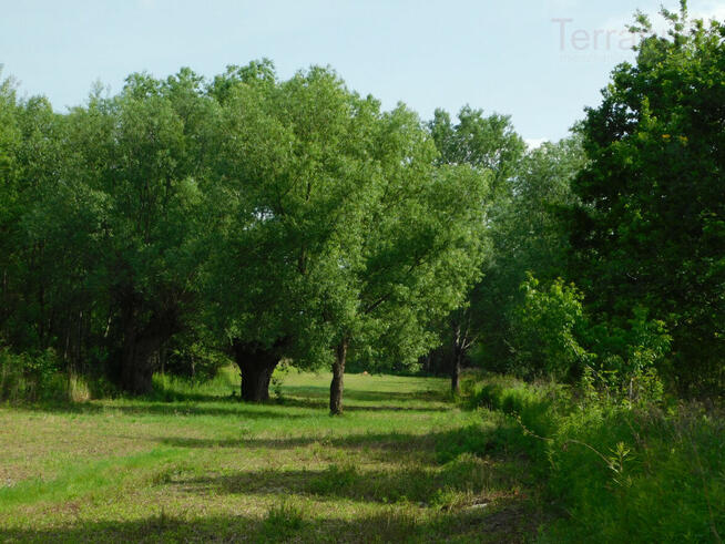 Działka budowlana Szymanów gm. Góra Kalwaria, Szymanów