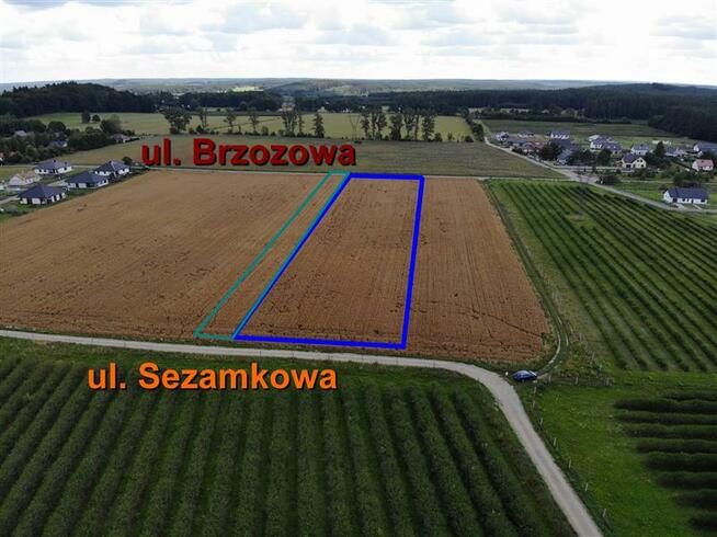 Działka Manowo, Sezamkowa