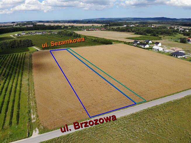 Działka Manowo, Brzozowa