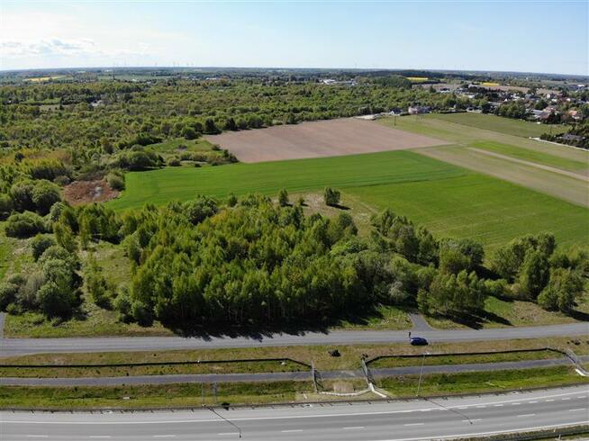 Działka Stare Bielice gm. Biesiekierz, Rumiankowa