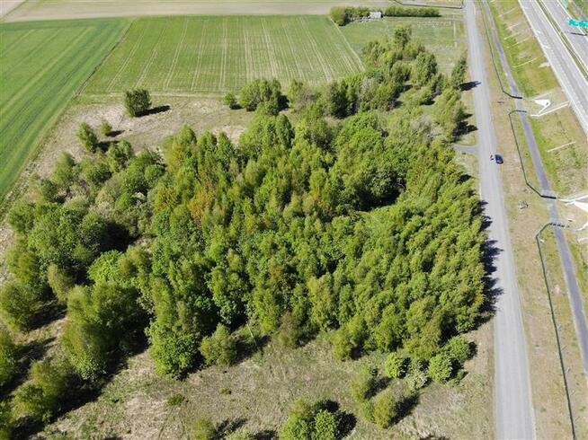 Działka Stare Bielice gm. Biesiekierz, Rumiankowa