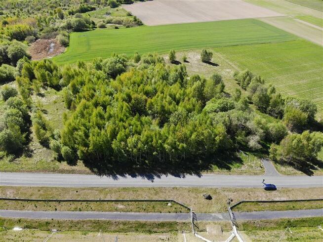 Działka Stare Bielice gm. Biesiekierz, Rumiankowa