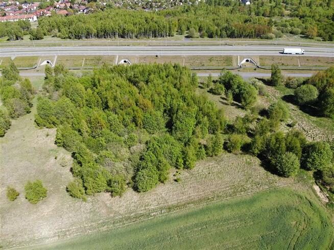 Działka Stare Bielice gm. Biesiekierz, Rumiankowa